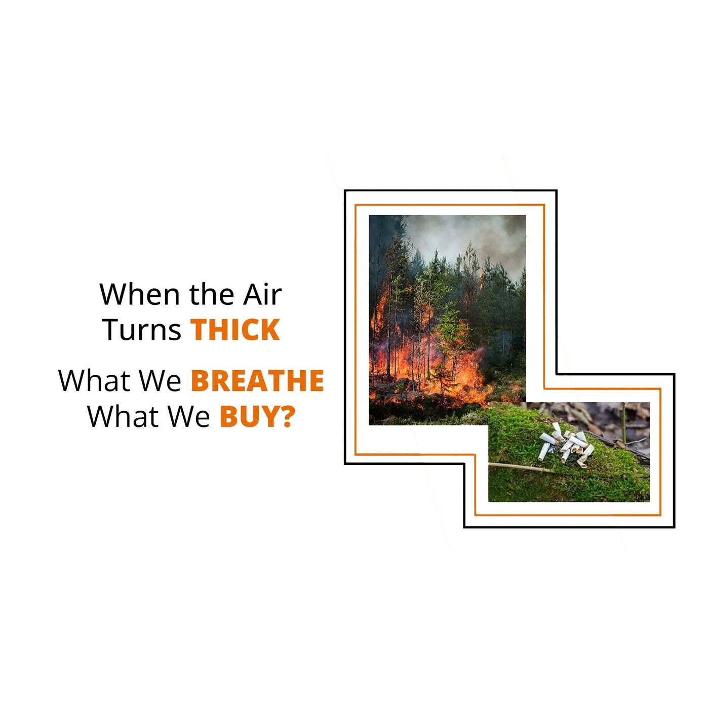 When the Air Turns Thick: What We Breathe, What We Buy