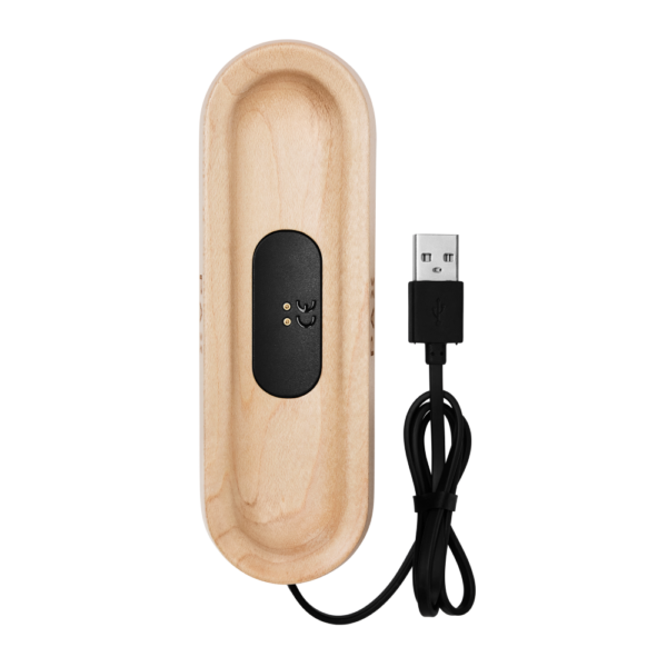 Pax Charging Tray